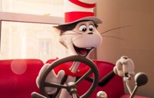 Cat in the hat